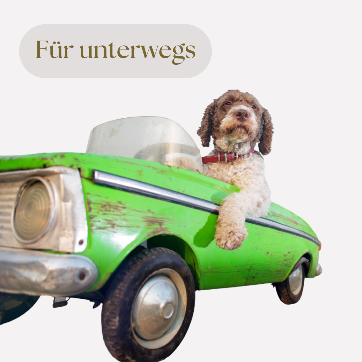 Für unterwegs🚗