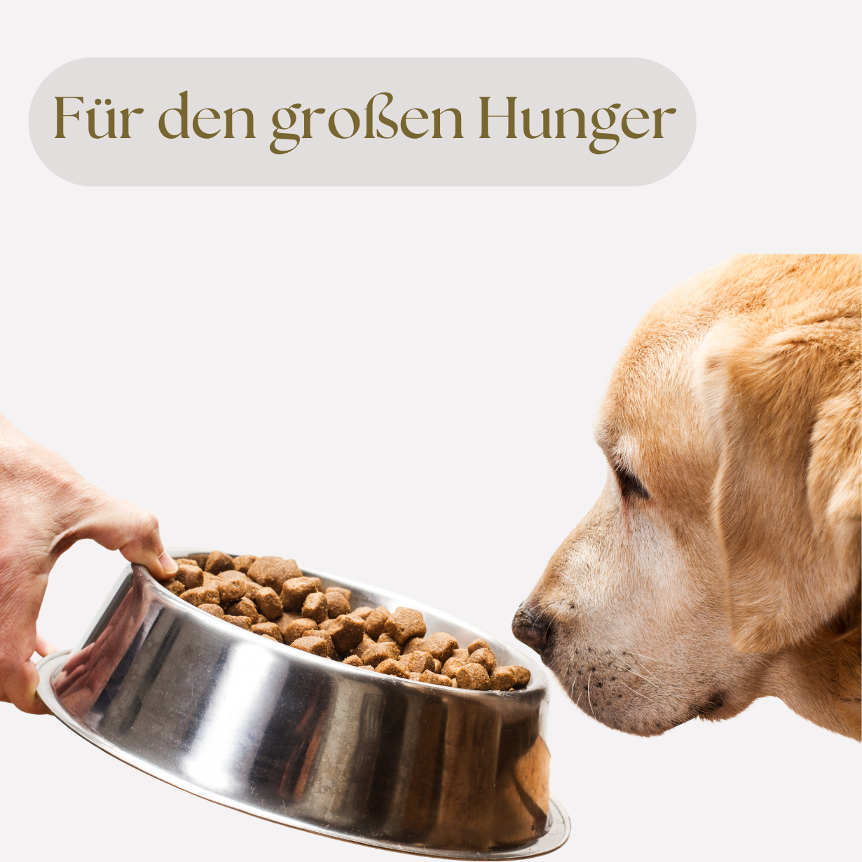 Für den großen Hunger🥩